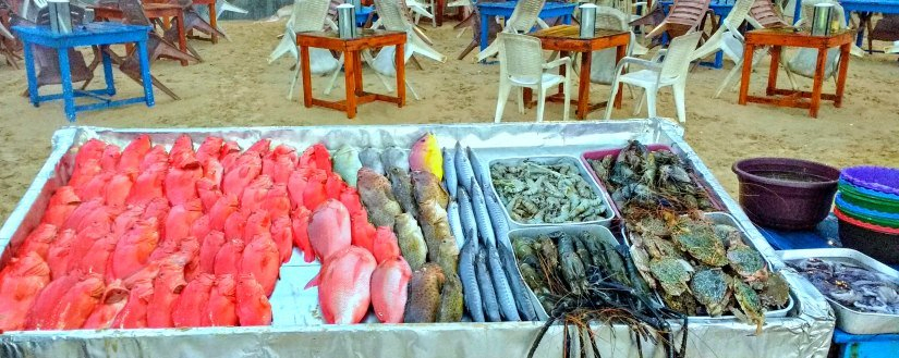 Fresh Fish Display Mirissa Beach