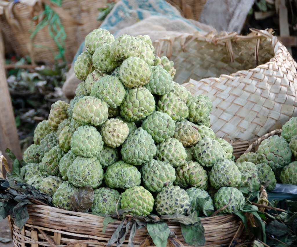Sri Lankan custard apple