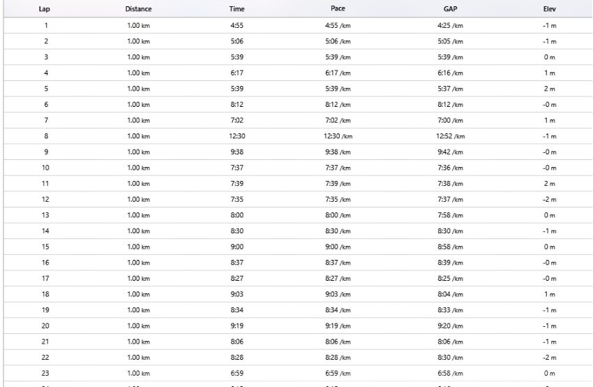 Run chart Ironman malaysia 2018