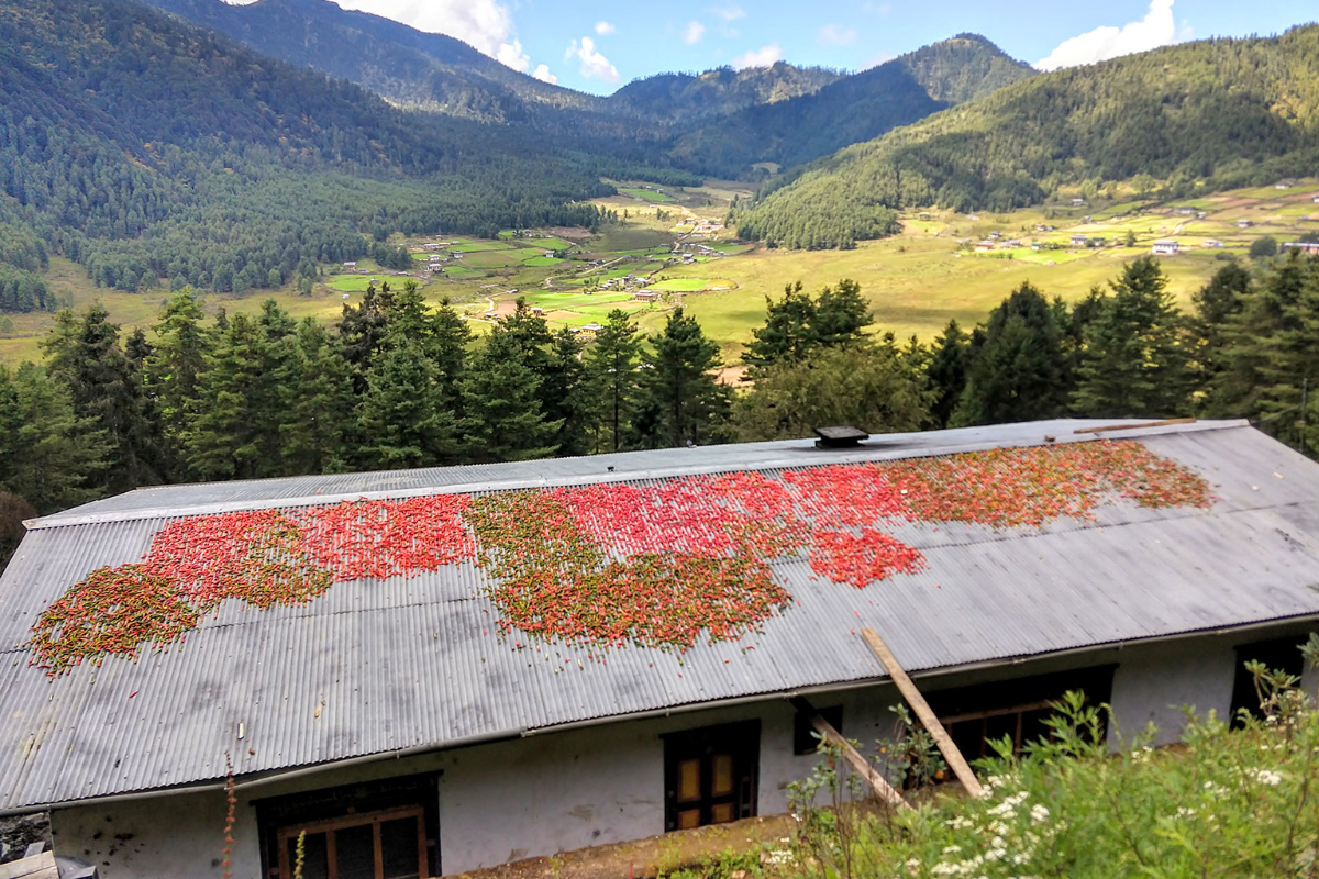 Food and travel blogs bhutan