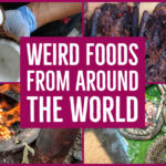 Weird Food from around the world