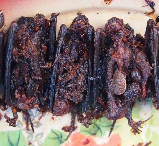 weird food to try bat on a stick
