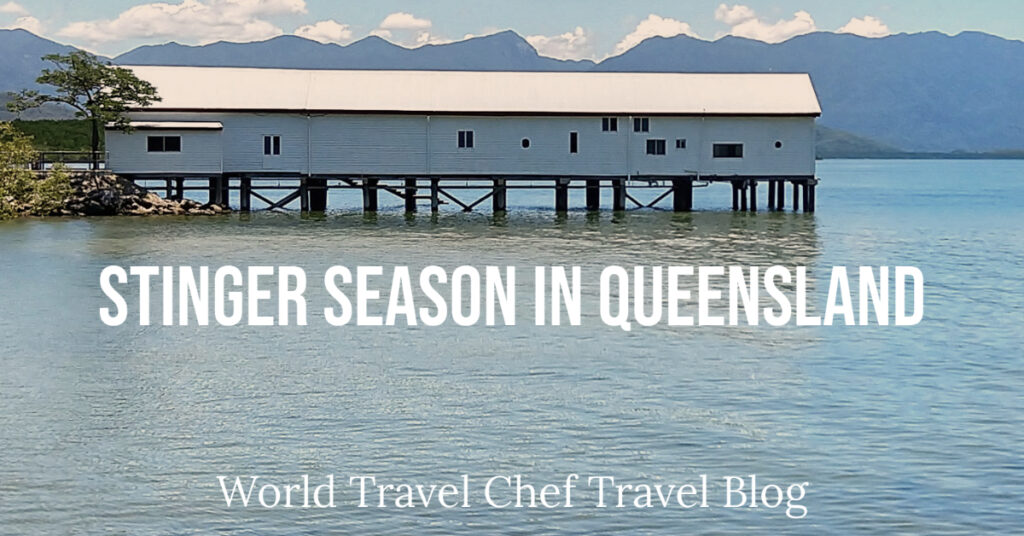 Stinger season in Queensland Australia 