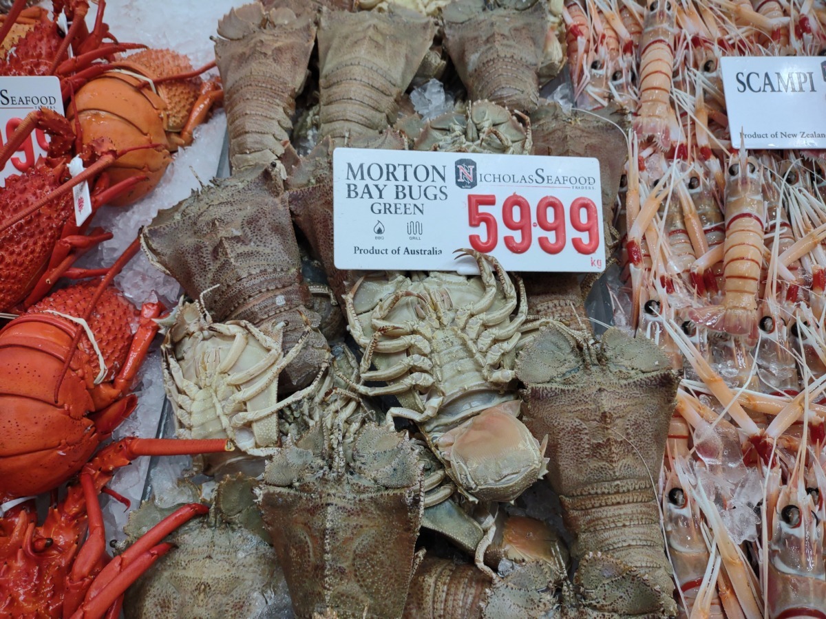 balmain bugs Australian seafood